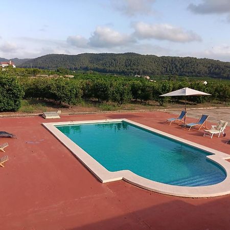 Casa Magnolia, A Rural Paradise House With Pool AlziraAlzira  Kültér fotó