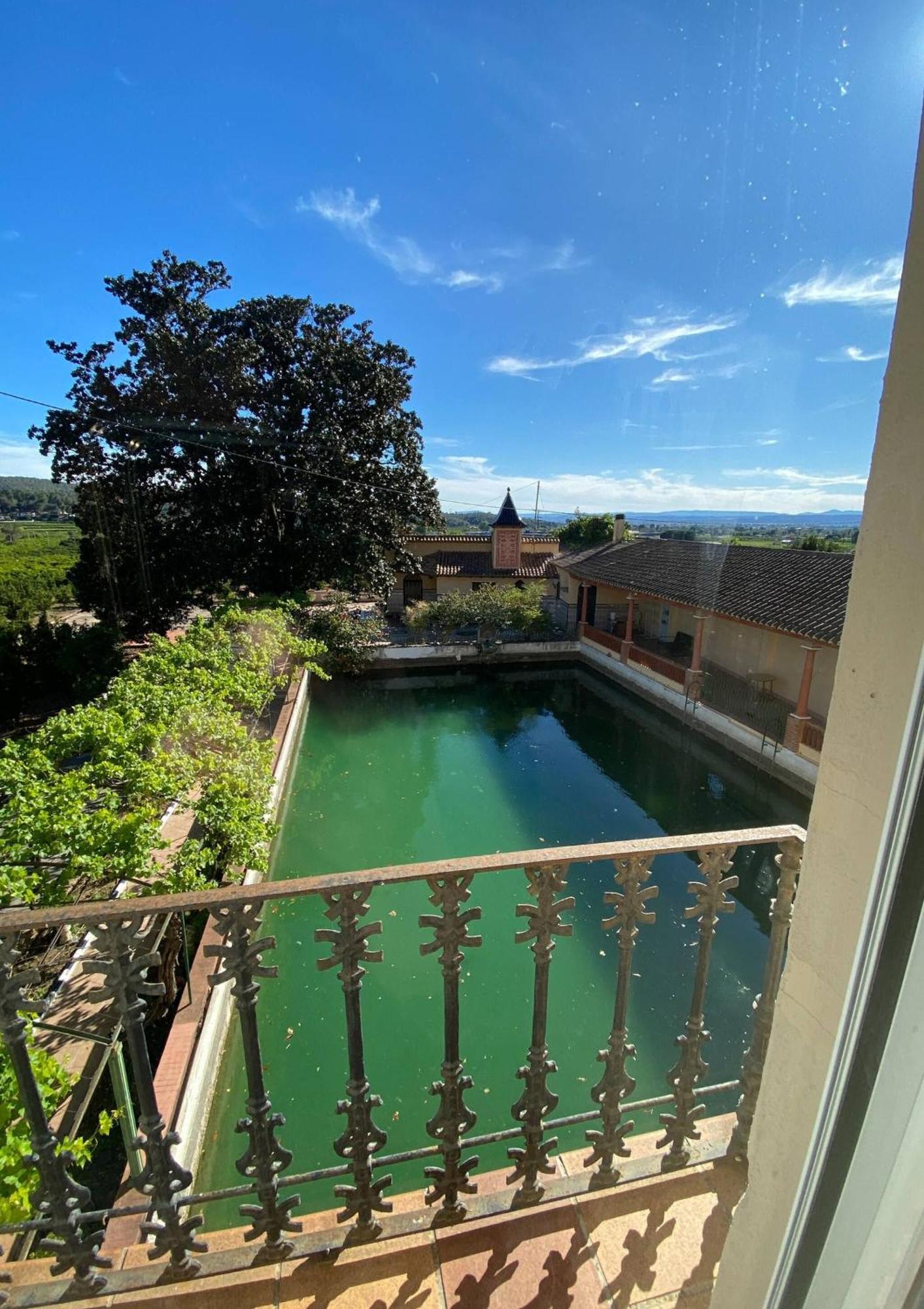 Casa Magnolia, A Rural Paradise House With Pool AlziraAlzira  Kültér fotó