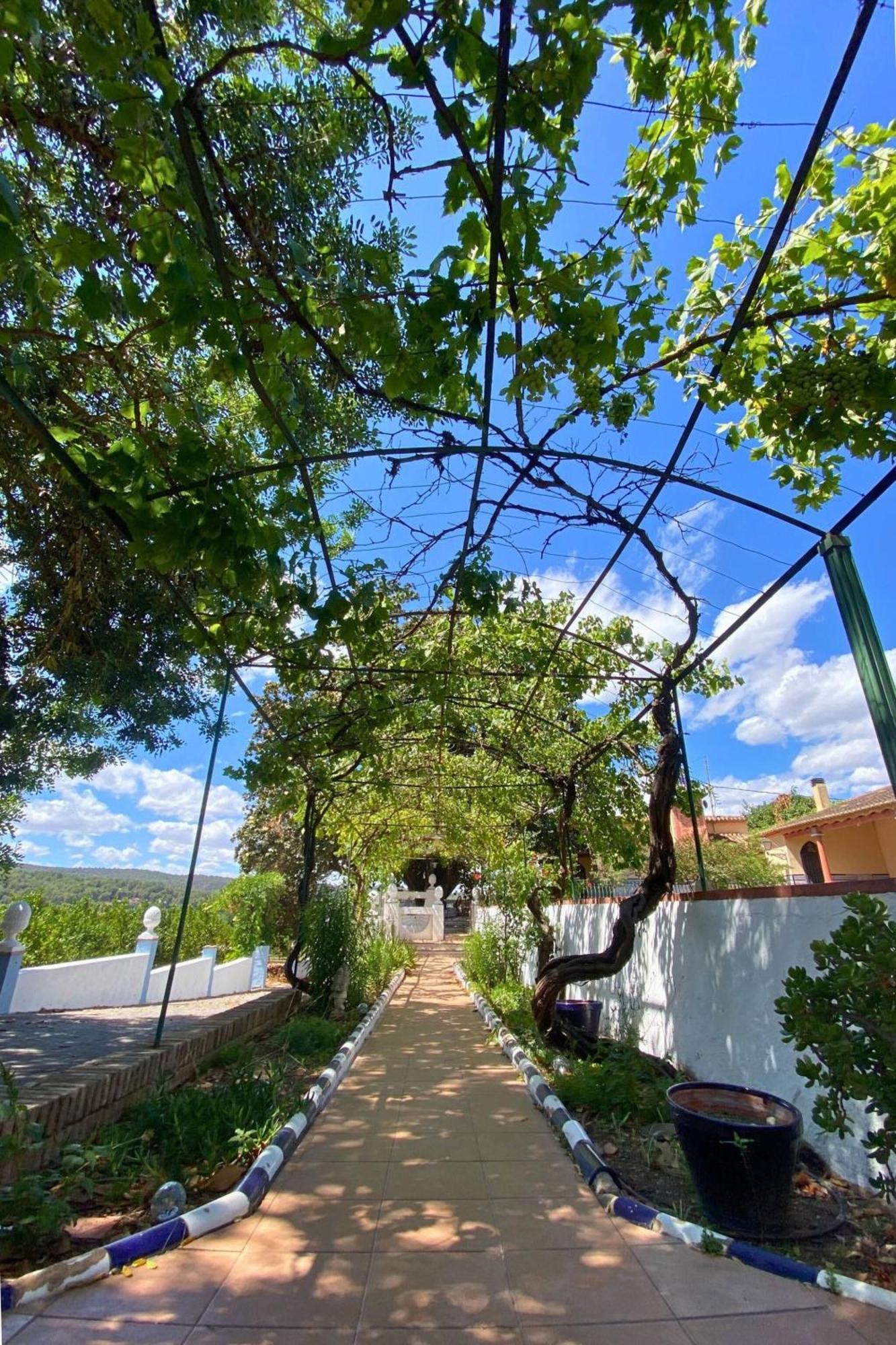 Casa Magnolia, A Rural Paradise House With Pool AlziraAlzira  Kültér fotó
