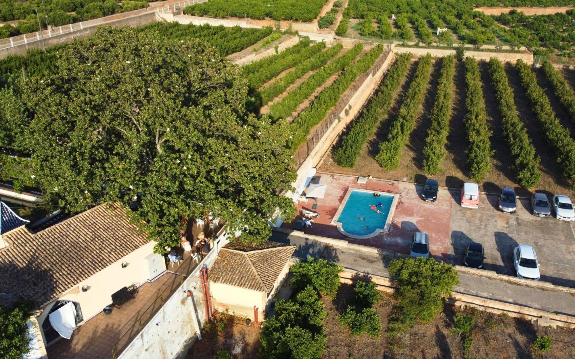 Casa Magnolia, A Rural Paradise House With Pool AlziraAlzira  Kültér fotó