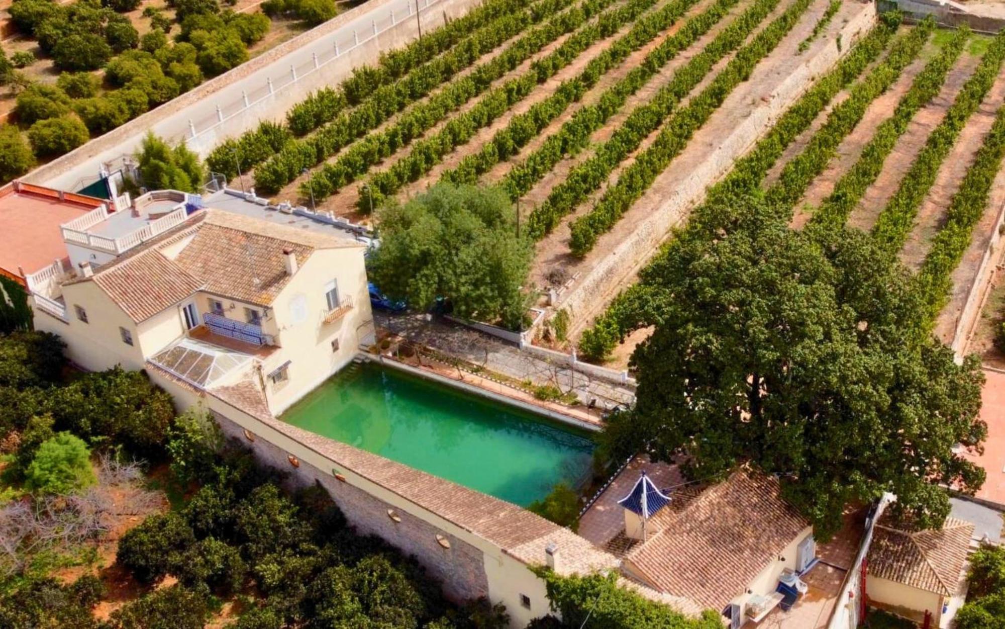 Casa Magnolia, A Rural Paradise House With Pool AlziraAlzira  Kültér fotó