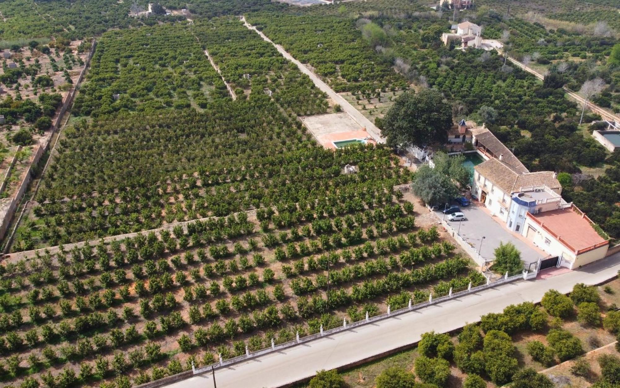 Casa Magnolia, A Rural Paradise House With Pool AlziraAlzira  Kültér fotó