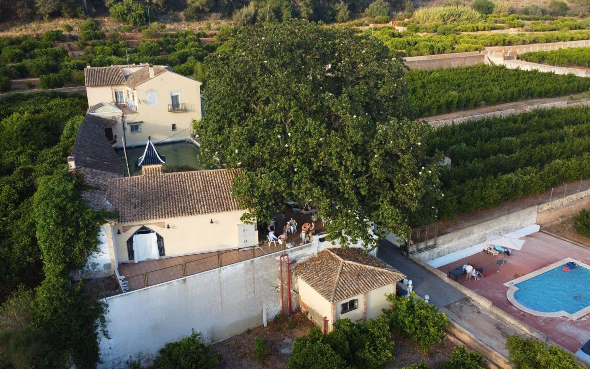 Casa Magnolia, A Rural Paradise House With Pool AlziraAlzira  Kültér fotó