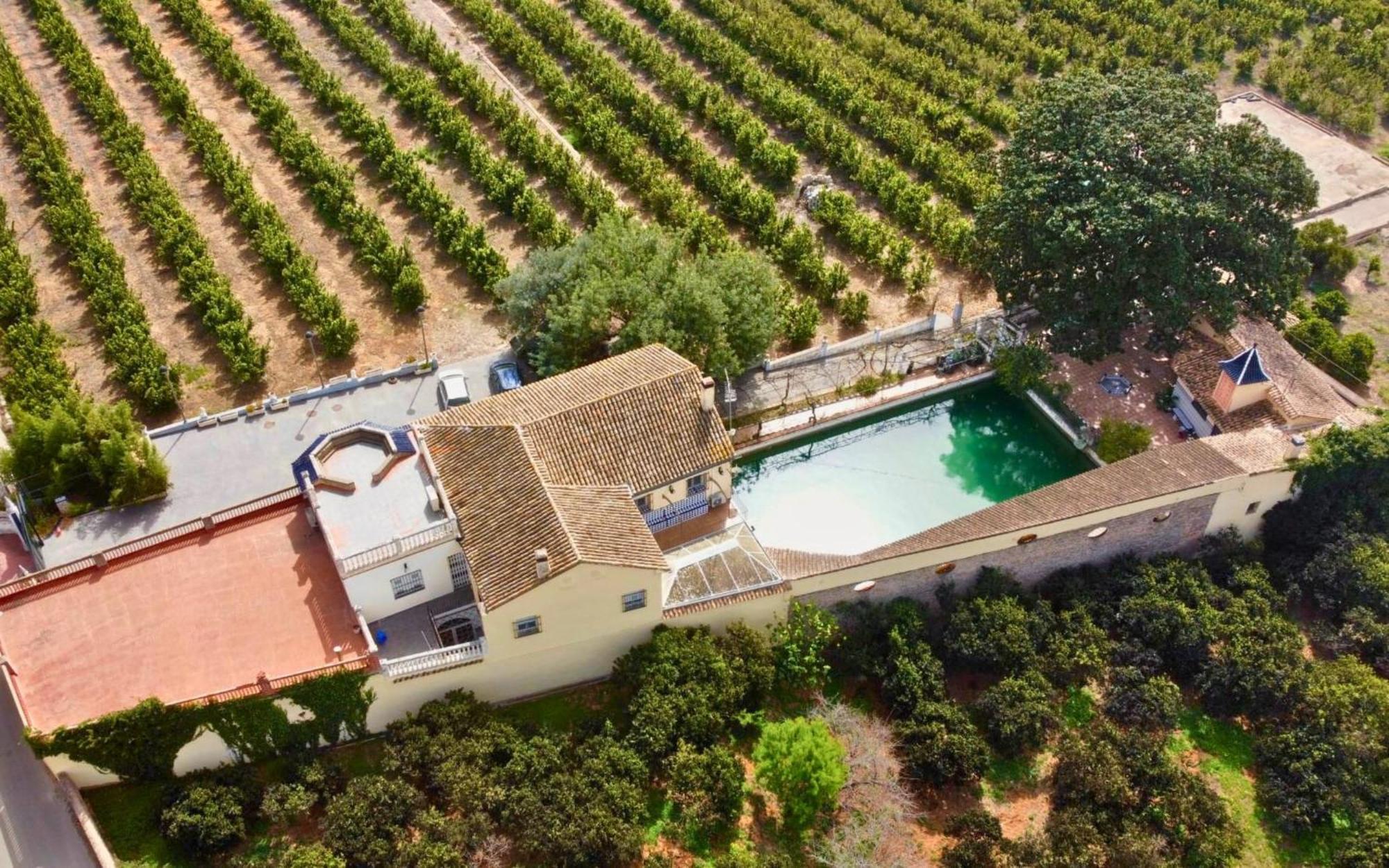 Casa Magnolia, A Rural Paradise House With Pool AlziraAlzira  Kültér fotó